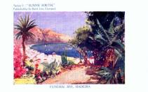 Sunny South_Funchal